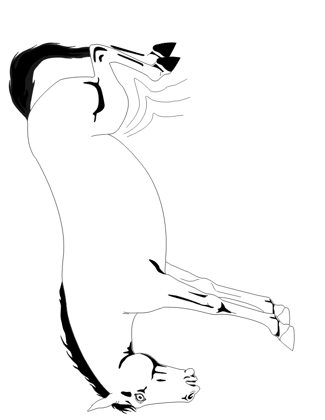 bucking horse coloring page